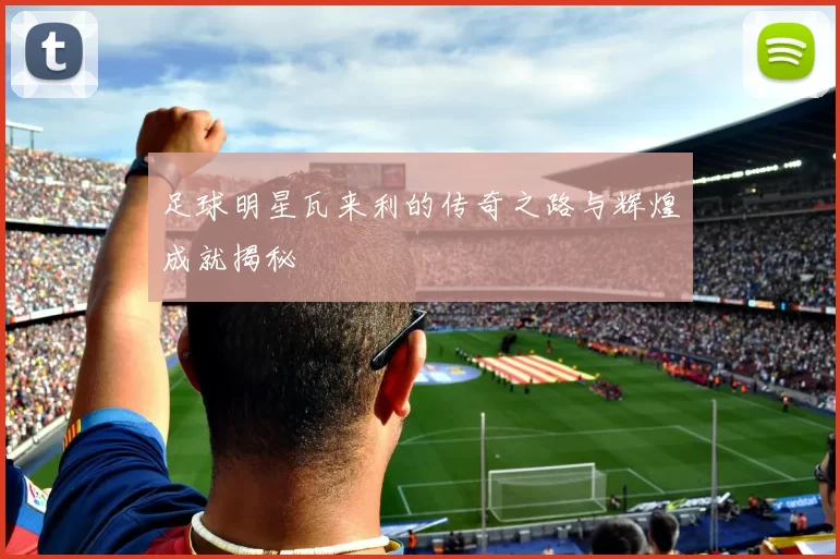 足球明星瓦来利的传奇之路与辉煌成就揭秘