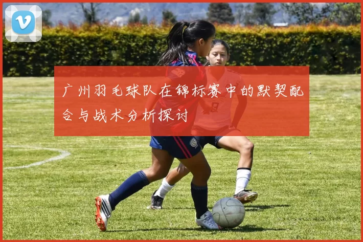 广州羽毛球队在锦标赛中的默契配合与战术分析探讨