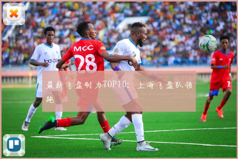 最新飞盘耐力TOP10：上海飞盘队领跑