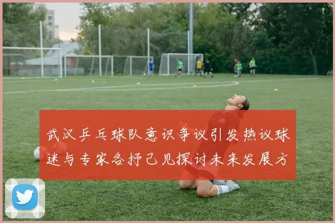 武汉乒乓球队意识争议引发热议球迷与专家各抒己见探讨未来发展方向